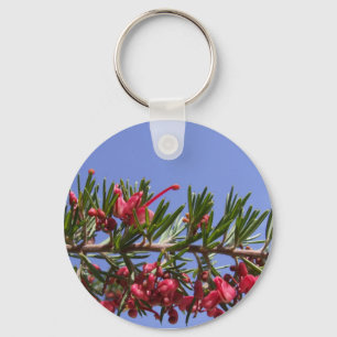 Chaveiro de Grevillea