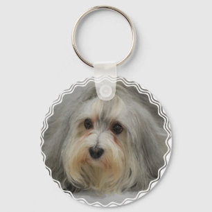 Chaveiro de Havanese