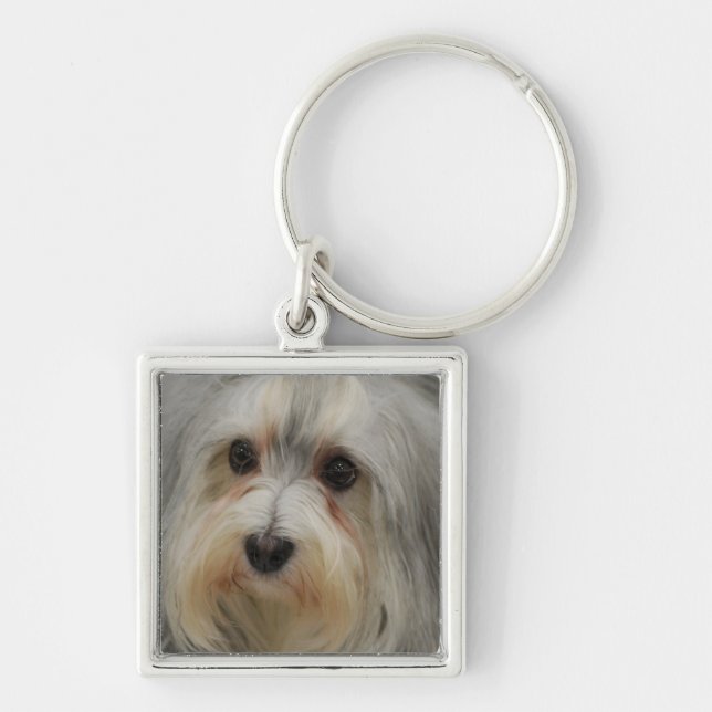 Chaveiro de Havanese (Frente)