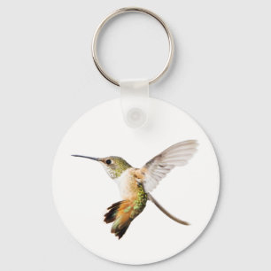 Chaveiro de Hummingbird da fêmea Allen
