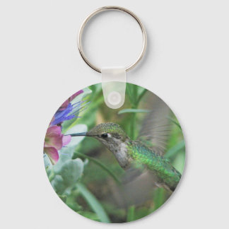 Chaveiro de Hummingbird de Anna