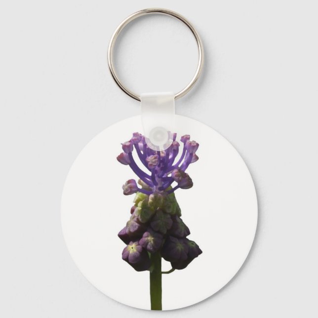 Chaveiro de Hyacinth Grape (Frente)