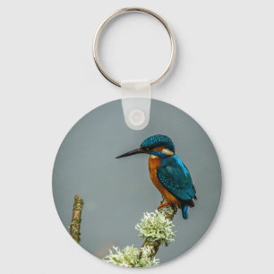 Chaveiro de Kingfisher/Keyring