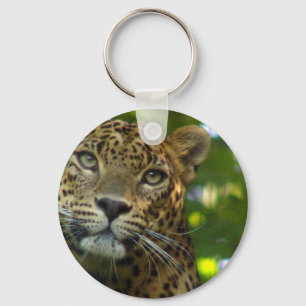 Chaveiro de Leopardo