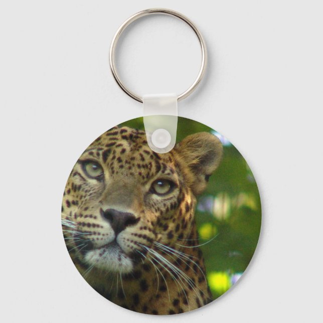 Chaveiro de Leopardo (Frente)