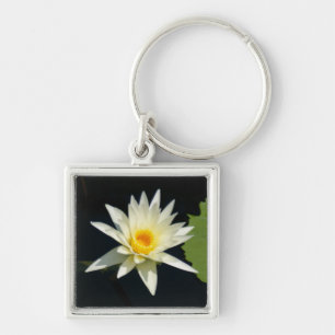Chaveiro de Lotus branco Waterlily