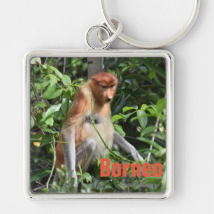 Chaveiro de Macaco Borneo Proboscis