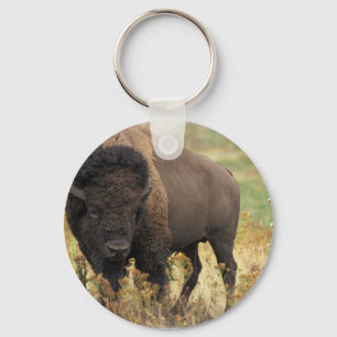Chaveiro de madeira do bisonte