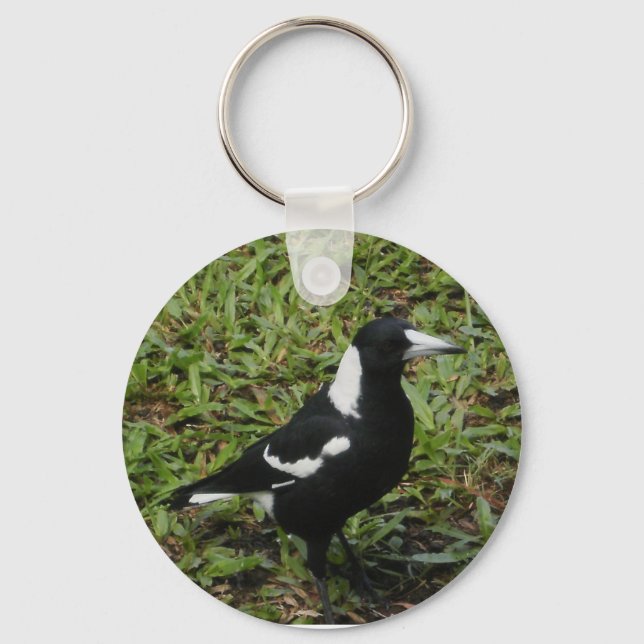 Chaveiro de Magpie australiano