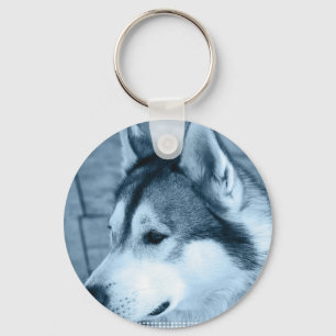 Chaveiro de Malamute no Alasca