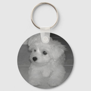 Chaveiro de Maltipoo