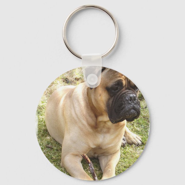 Chaveiro de Mastiff Inglês (Frente)
