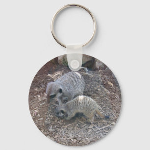 Chaveiro de Meerkats