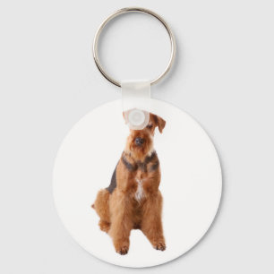 Chaveiro de Orçamento de Cachorro Filhote Airedale