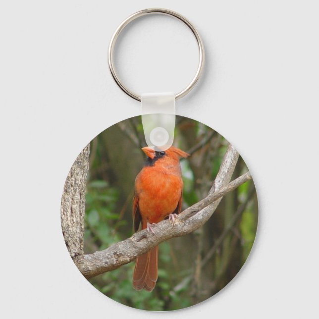 Chaveiro de pássaro cardinal do Norte de perfil bo (Frente)
