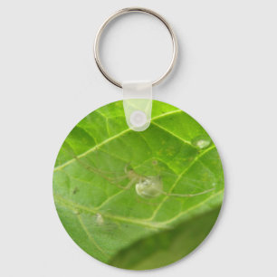Chaveiro de Pequena Aranha