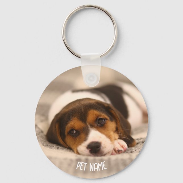 Chaveiro de Pet Personalizado - Fotografia e nome  (Frente)