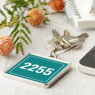 Chaveiro de Placa de Número de Veículo Personaliza