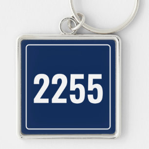 Chaveiro de Placa de Veículo Personalizada