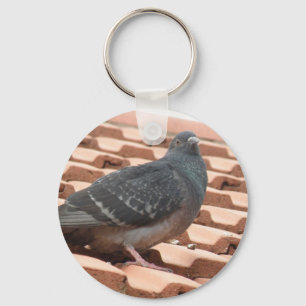 Chaveiro de Pombo de Telhado