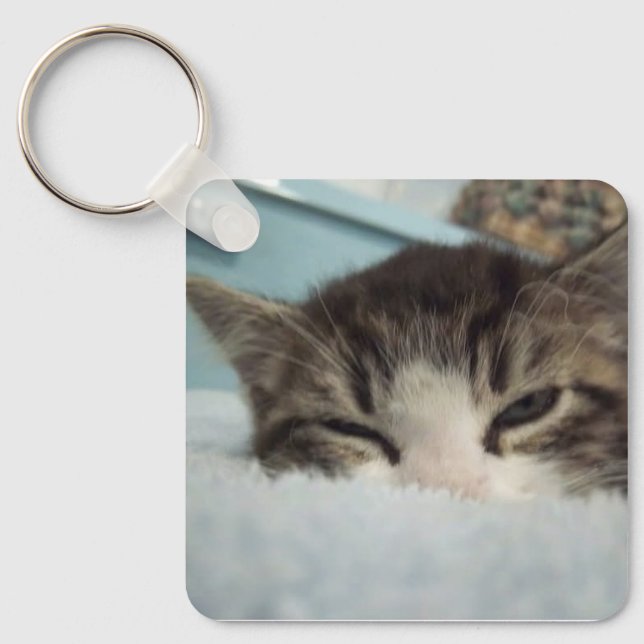 Chaveiro de Quadrado de Cheno Alumínio Sonolento (Frente)