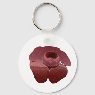 Chaveiro de Rafflesia
