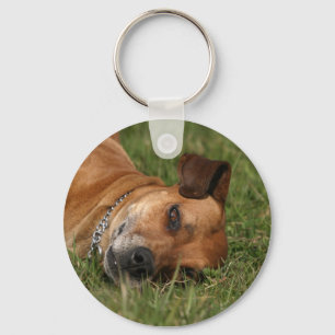 Chaveiro de Rhodesian Ridgeback