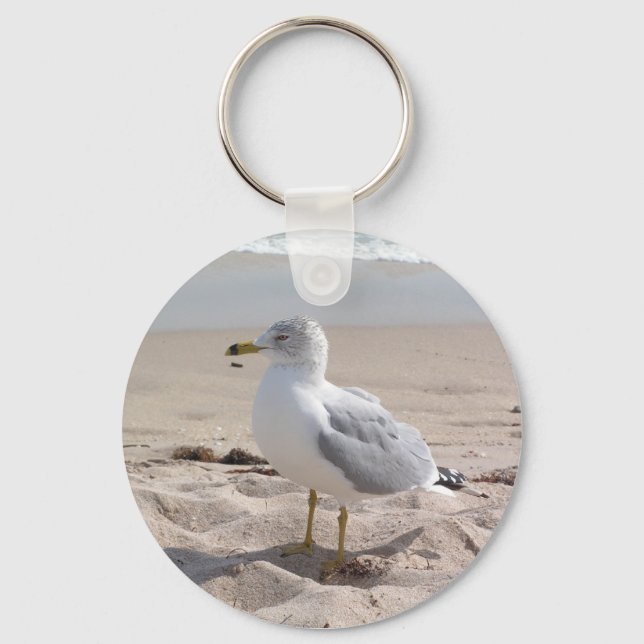 Chaveiro de Seagull (Frente)