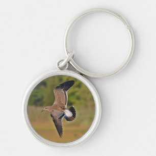 Chaveiro de Seagull