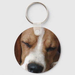 Chaveiro de Sleeping Beagle