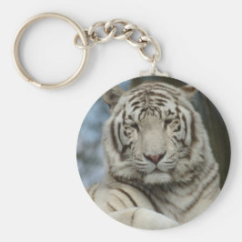 Chaveiro de Tigre Branco