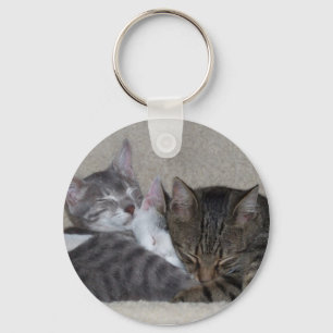 Chaveiro de três gatos