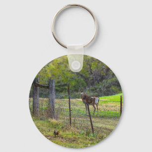 Chaveiro Deer E Um Esquilo Painterly