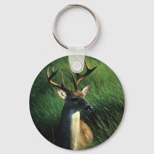 Chaveiro Deer / White Tailed Buck