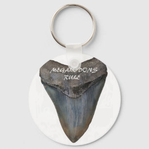 Chaveiro Dente do tubarão de Megalodon