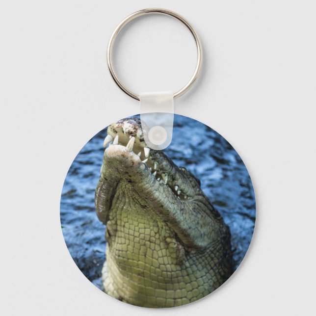 Chaveiro Dentes De Crocodilo Água (Frente)