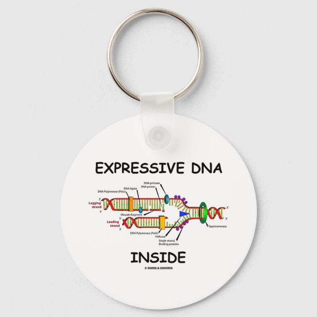 Chaveiro Dentro de DNA expressivo (replicação de DNA) (Frente)