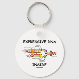 Chaveiro Dentro de DNA expressivo (replicação de DNA)