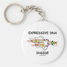 Chaveiro Dentro de DNA expressivo (replicação de DNA)