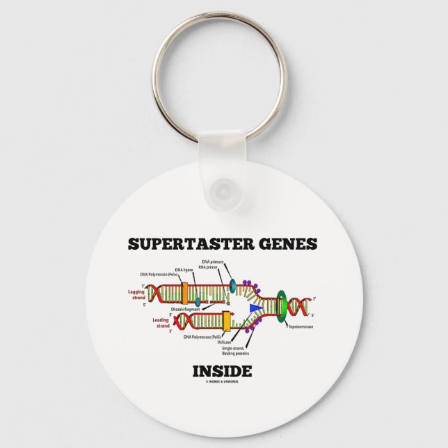 Chaveiro Dentro de Genes Supertaster (Replicação de DNA) (Frente)