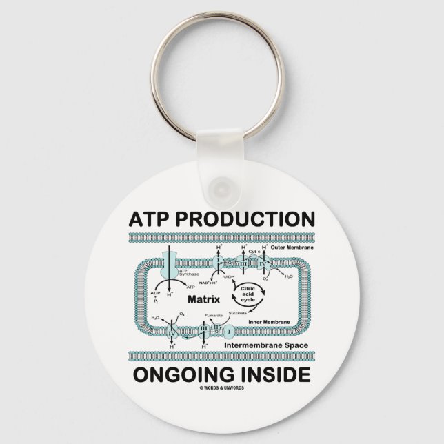 Chaveiro DENTRO de Produção Contínua ATP (Frente)