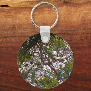 Chaveiro Descansar Cockatoas Australianas, Keyring