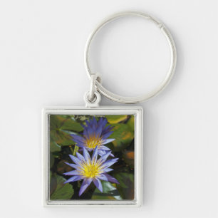 Chaveiro Desenho Botânico Floral de Nenúfar Tropical
