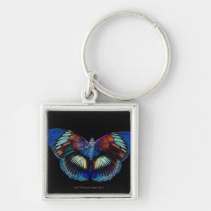 Chaveiro Design colorido da borboleta contra o contexto