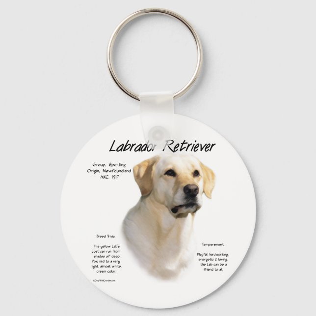 Chaveiro Design de História do Labrador Retriever (amarelo) (Frente)