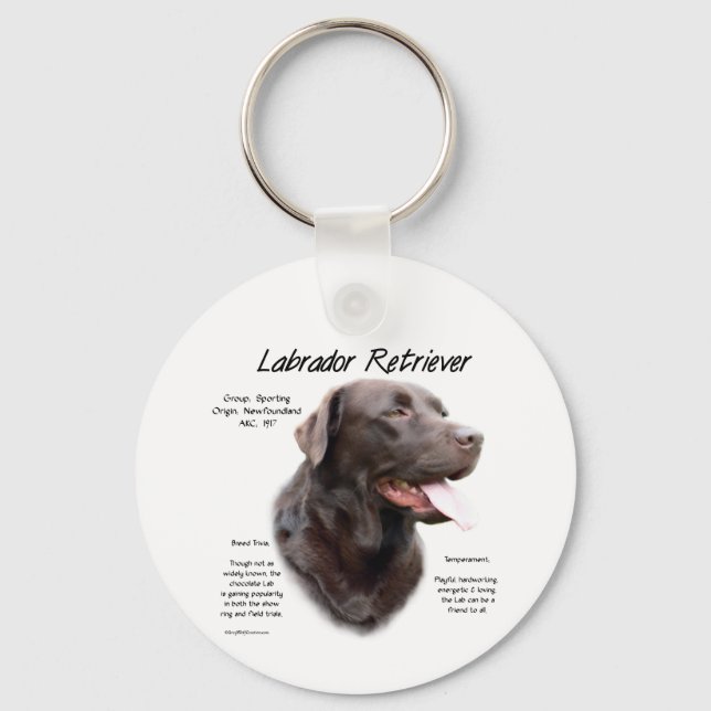 Chaveiro Design de História do Labrador Retriever (chocolat (Frente)