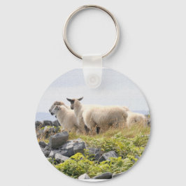 Chaveiro Designs Excêntricos - Ovelhas em um campo