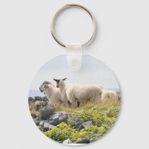 Chaveiro Designs Excêntricos - Ovelhas em um campo