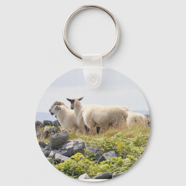 Chaveiro Designs Excêntricos - Ovelhas em um campo (Frente)