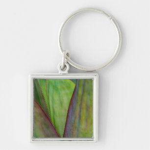 Chaveiro Detalhe da Planta Agave
